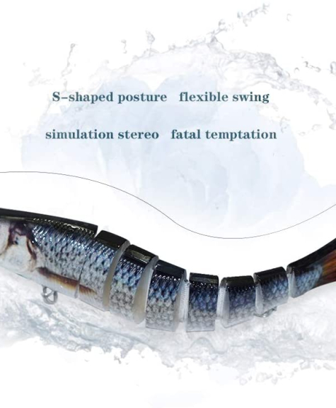 51BwmYyAwXL._AC_SL1000_