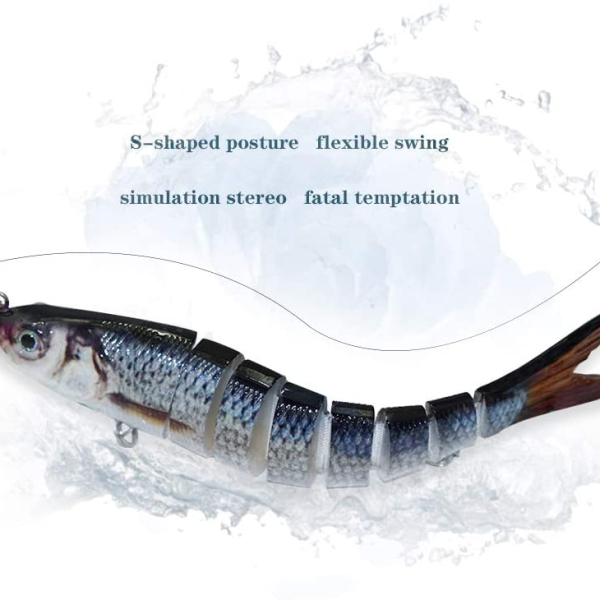 51BwmYyAwXL._AC_SL1000_